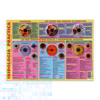 Pratico foglio di iridologia (Misure: 30 x 21 cm)